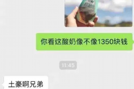 嘉兴为什么选择专业追讨公司来处理您的债务纠纷？